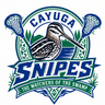 Cayuga Snipes